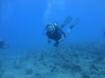 Hawaii Scuba divng 70