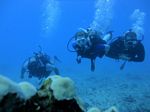 Hawaii Scuba divng 74