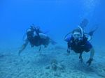 Hawaii Scuba divng 79