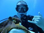 Hawaii Scuba divng 82