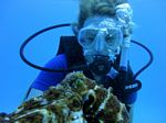 Hawaii Scuba divng 83