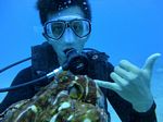 Hawaii Scuba divng 87