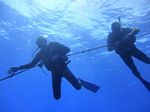 Hawaii Scuba divng 08