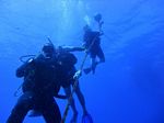 Hawaii Scuba divng 09