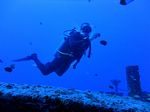 Hawaii Scuba divng 11