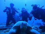 Hawaii Scuba divng 26