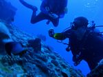 Hawaii Scuba divng 28