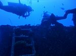 Hawaii Scuba divng 30