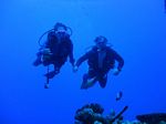 Hawaii Scuba divng 42