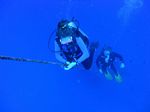 Hawaii Scuba divng 52