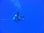 Hawaii Scuba divng 53