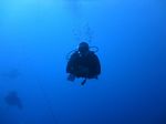 Hawaii Scuba divng 56