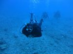 Hawaii Scuba divng 58