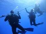 Hawaii Scuba divng 05