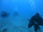 Hawaii Scuba divng 66