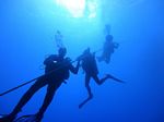 Hawaii Scuba divng 06