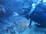 Hawaii Scuba divng 73