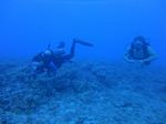 Hawaii Scuba divng 78