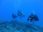 Hawaii Scuba divng 80