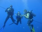 Hawaii Scuba divng 84