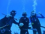 Hawaii Scuba divng 12