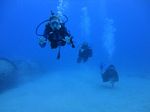 Hawaii Scuba divng 14