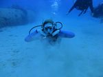 Hawaii Scuba divng 15