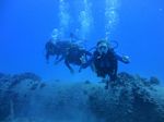 Hawaii Scuba divng 17