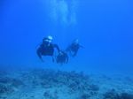 Hawaii Scuba divng 19