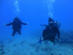 Hawaii Scuba divng 20