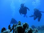 Hawaii Scuba divng 21