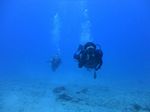 Hawaii Scuba divng 28