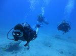 Hawaii Scuba divng 29