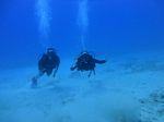 Hawaii Scuba divng 34