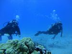 Hawaii Scuba divng 35