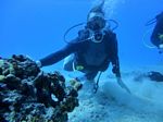 Hawaii Scuba divng 36