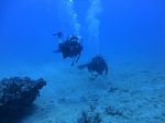 Hawaii Scuba divng 37