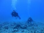 Hawaii Scuba divng 38