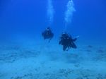 Hawaii Scuba divng 39