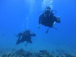 Hawaii Scuba divng 40