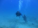 Hawaii Scuba divng 47