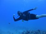 Hawaii Scuba divng 52