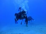 Hawaii Scuba divng 56