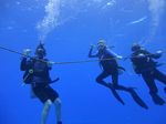 Hawaii Scuba divng 06