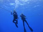 Hawaii Scuba divng 07