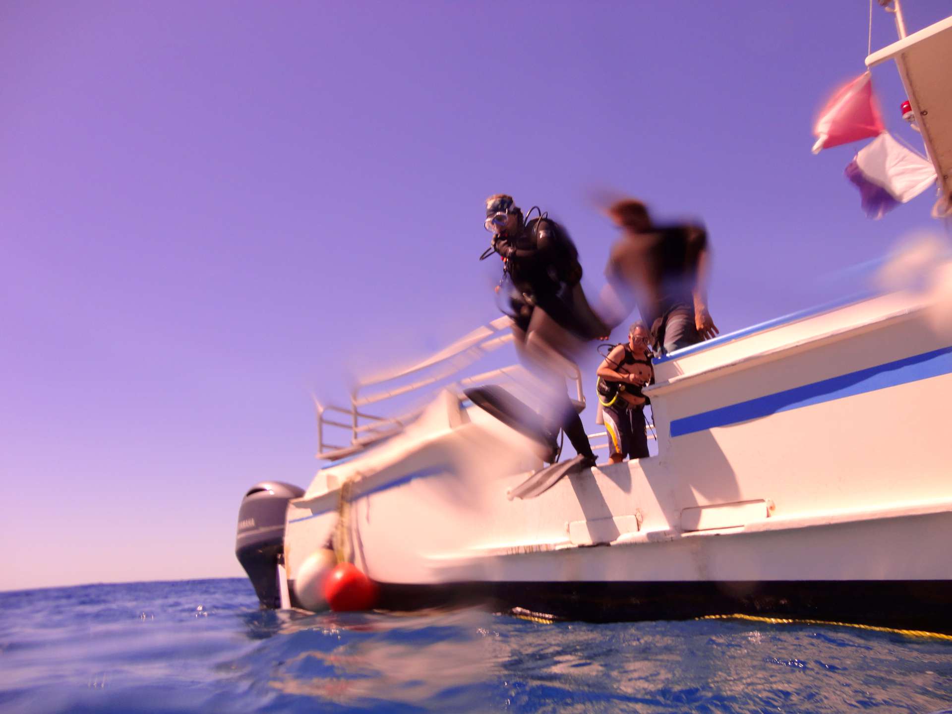 Incredible Shipwreck Discovery in Honolulu Hawaii