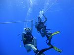 Hawaii Scuba divng 12