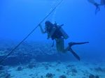 Hawaii Scuba divng 17