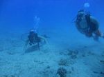 Hawaii Scuba divng 20