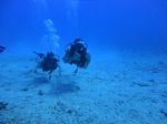 Hawaii Scuba divng 22